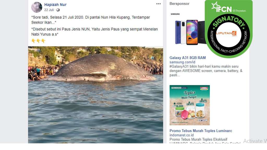 Hoaks Paus Nun