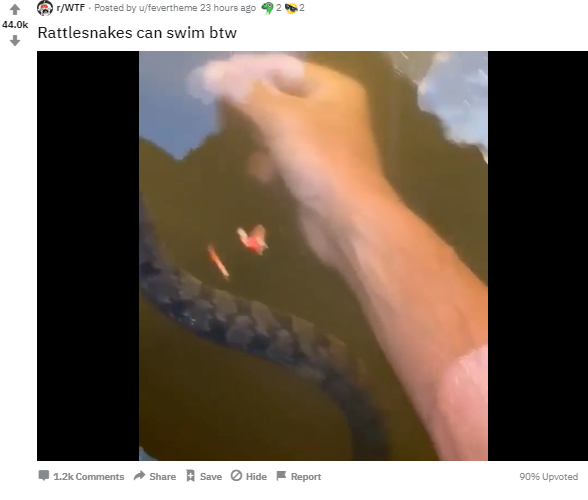 Video viral