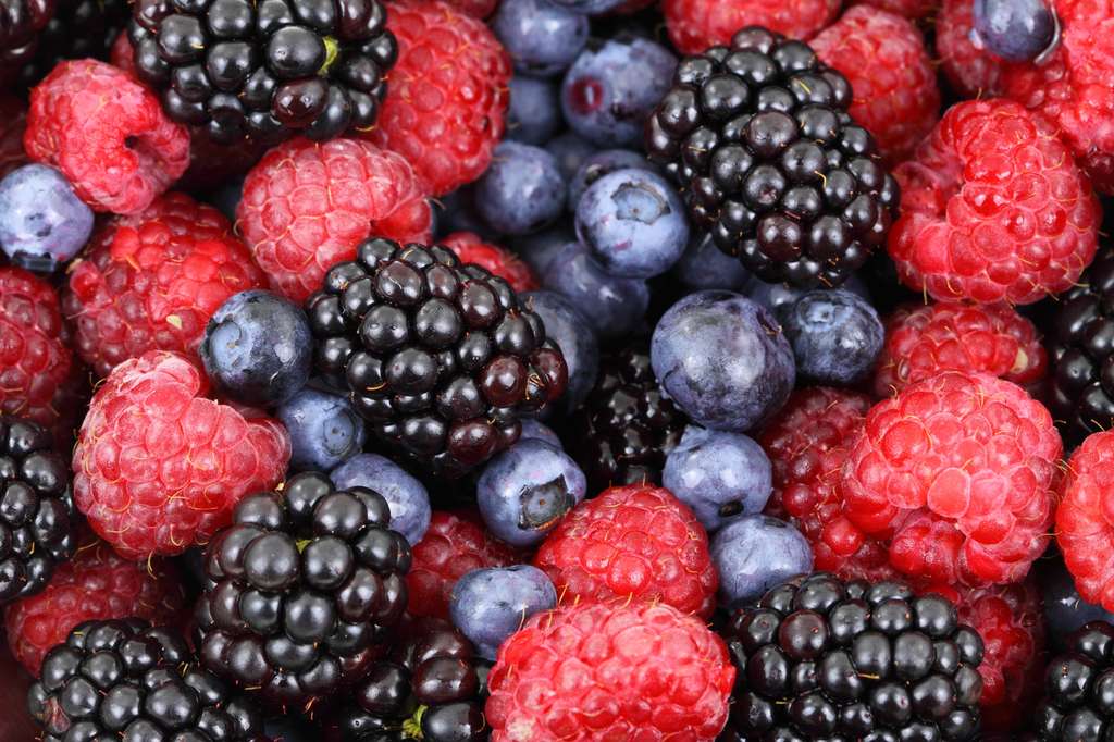 Buah Berry