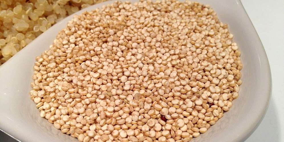 Quinoa