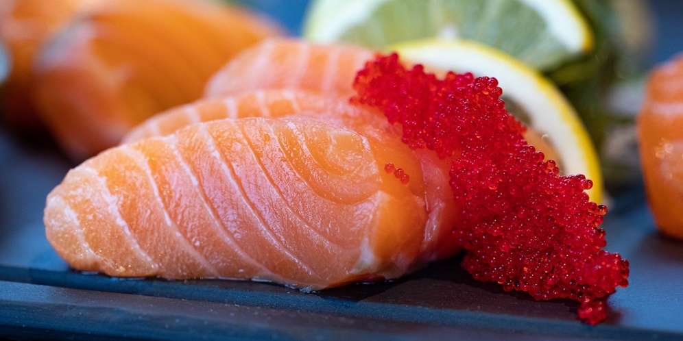 Salmon