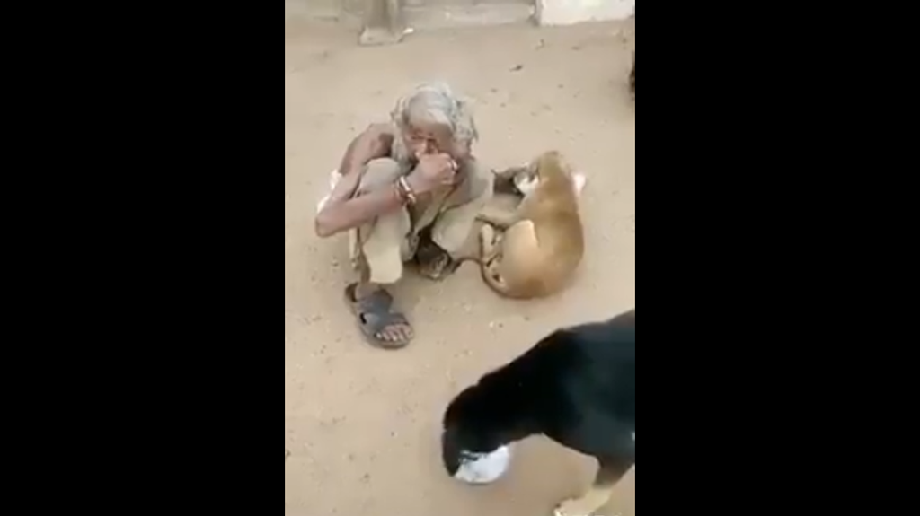 video mengharukan