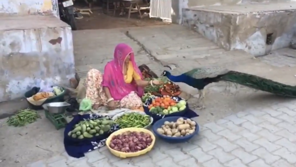 video mengharukan