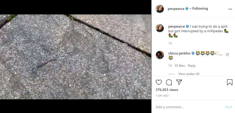 Pevita Pearce loncat