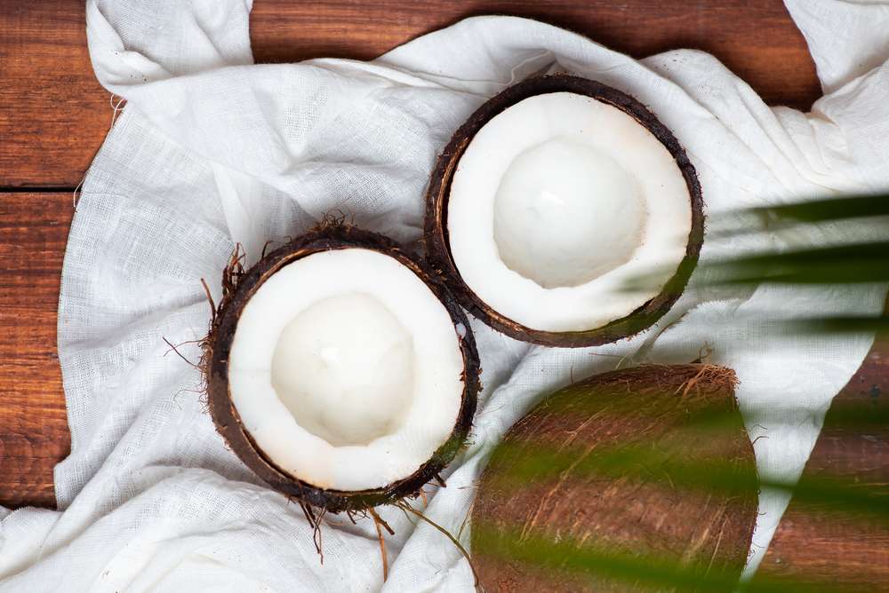 Buah Kelapa