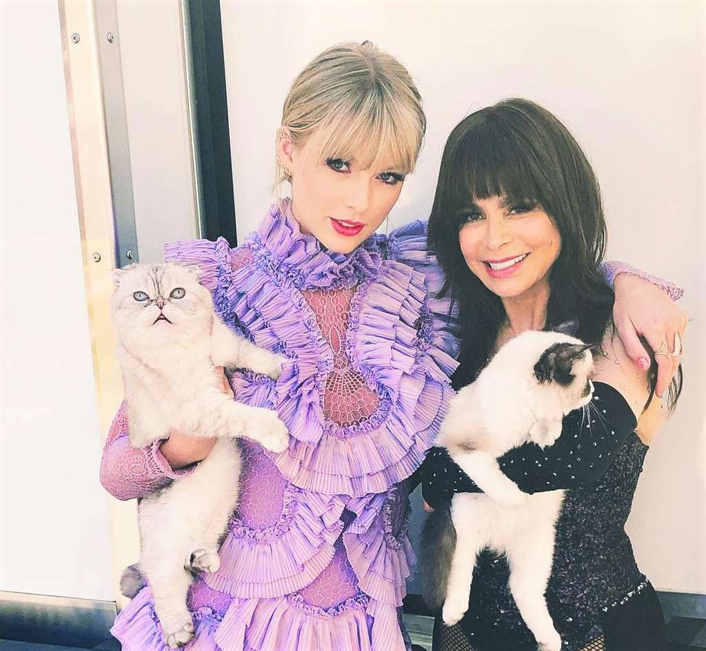 Kucing Taylor Swift