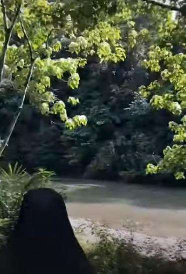 Muncul penampakan dan suara aneh di dekat sungai.