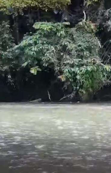 Tanpa sadar jalan ke tengah sungai padahal arusnya sangat deras.