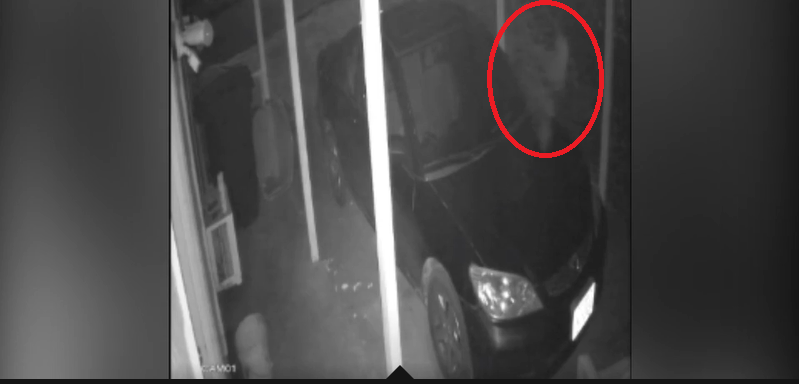 rekaman cctv
