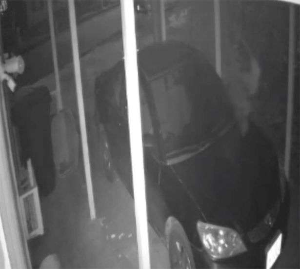 rekaman cctv
