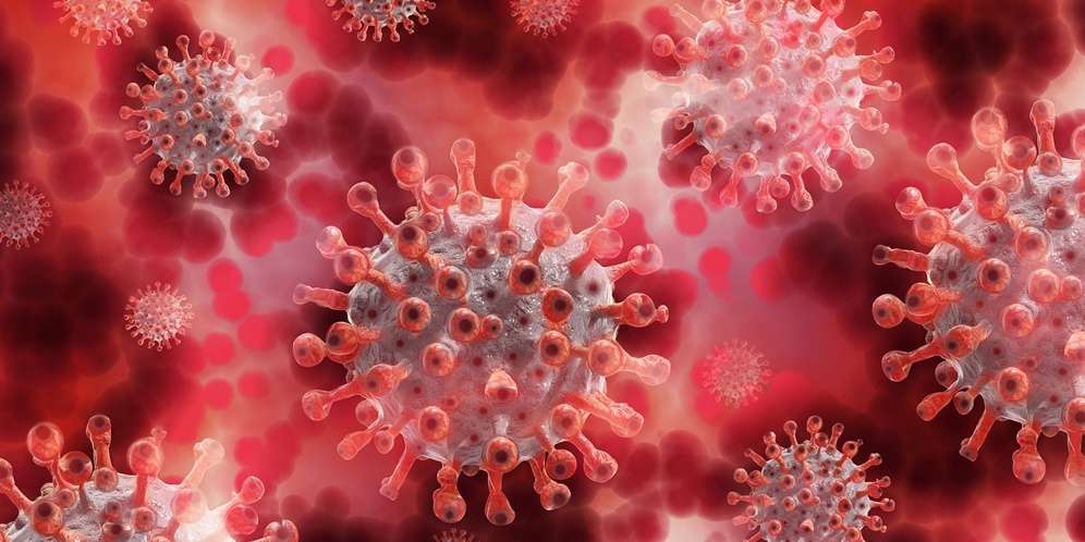 Virus Corona