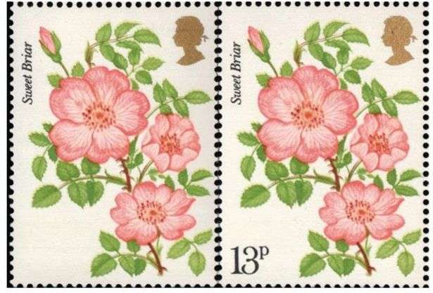 Rose Error Stamps senilai 2,5 Milyar