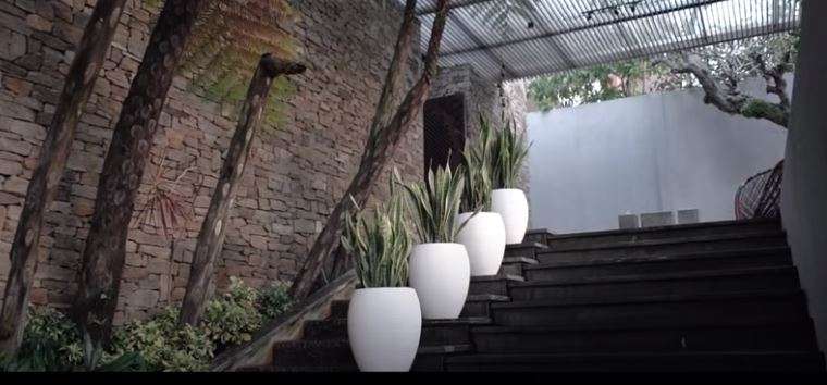 Rumah Momo
