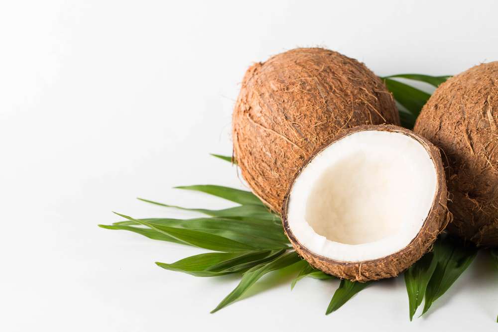 Ilustrasi Air Kelapa