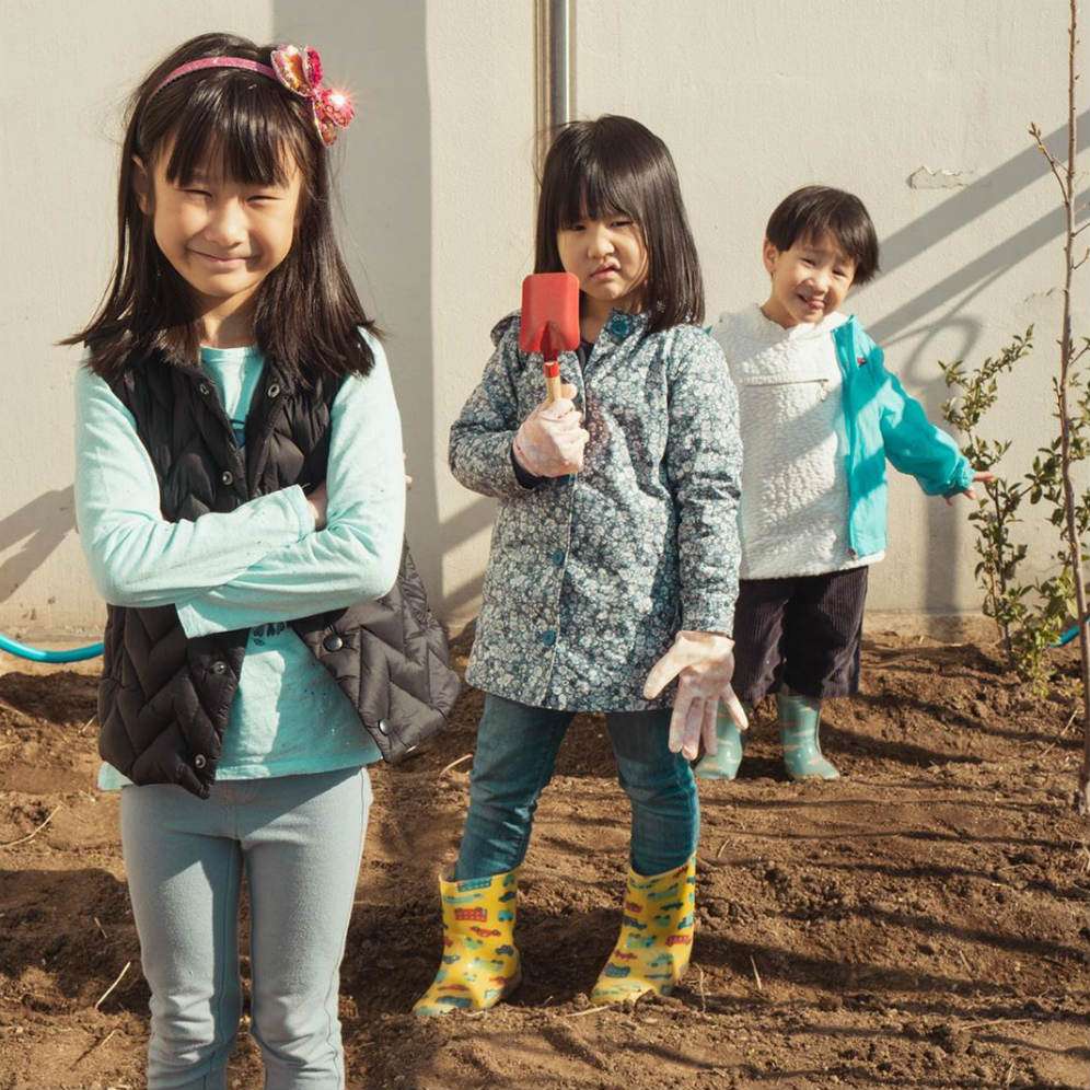 Kebun balkon Kimbab Family