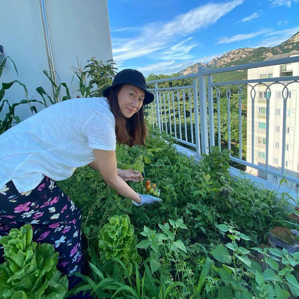 Kebun balkon Kimbab Family