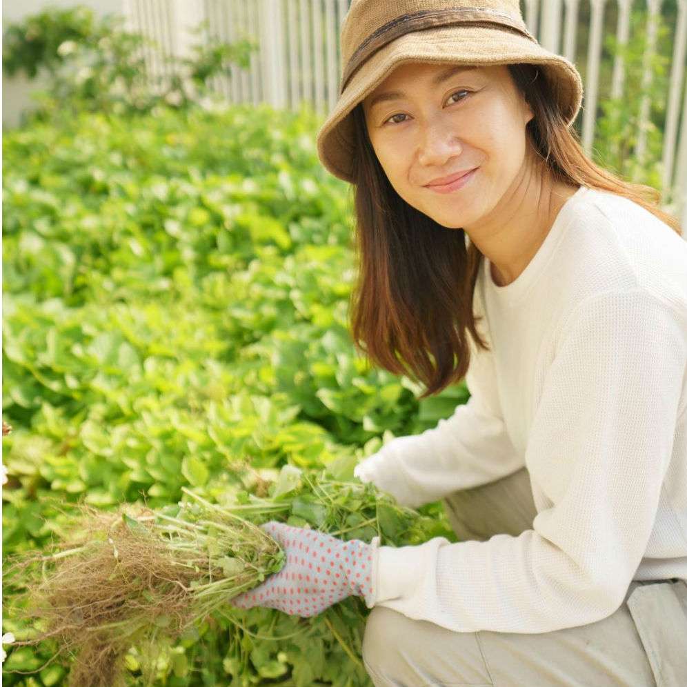 Kebun balkon Kimbab Family