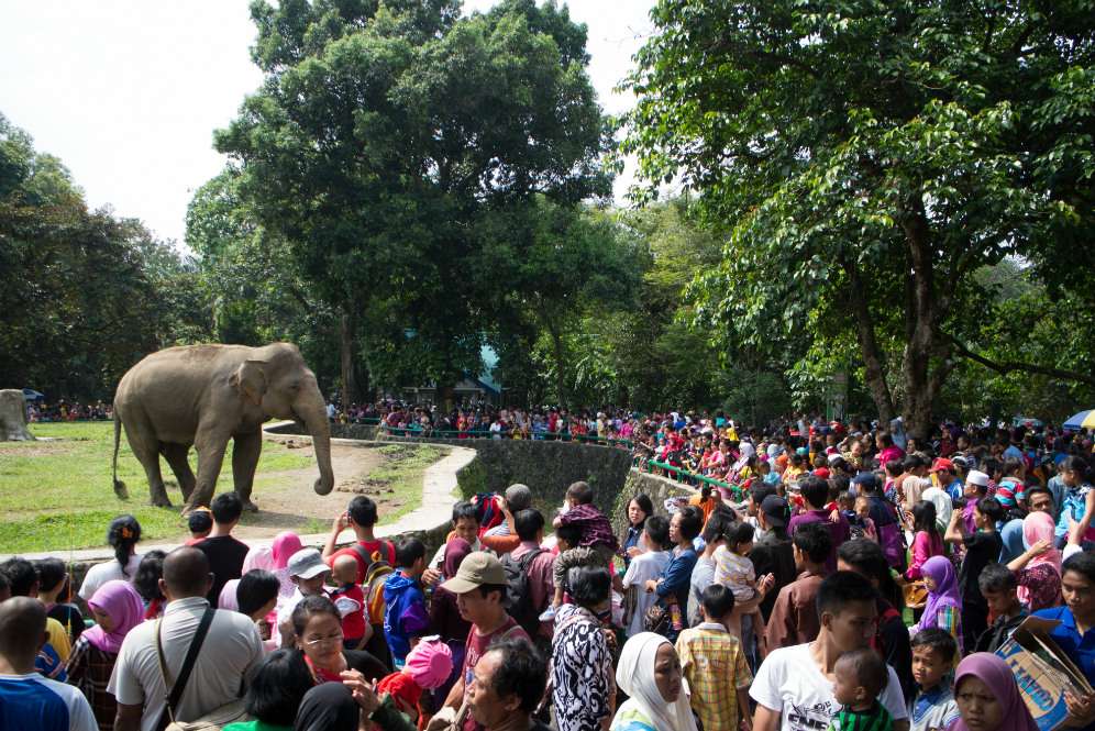 Ragunan