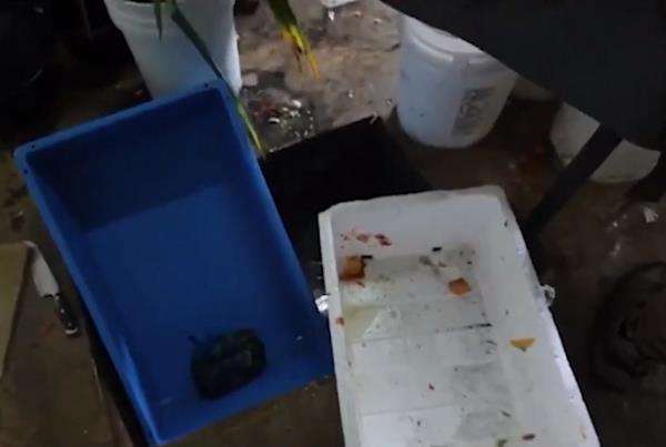 Warung dalam kondisi kotor dan menjijikkan.