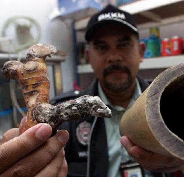 Menggunakan bahan yang busuk dan kotor.