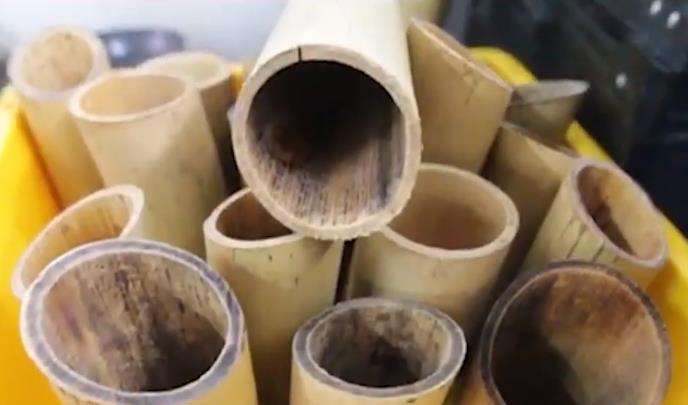 Bambu yang digunakan untuk membuat nasi bambu juga kotor.
