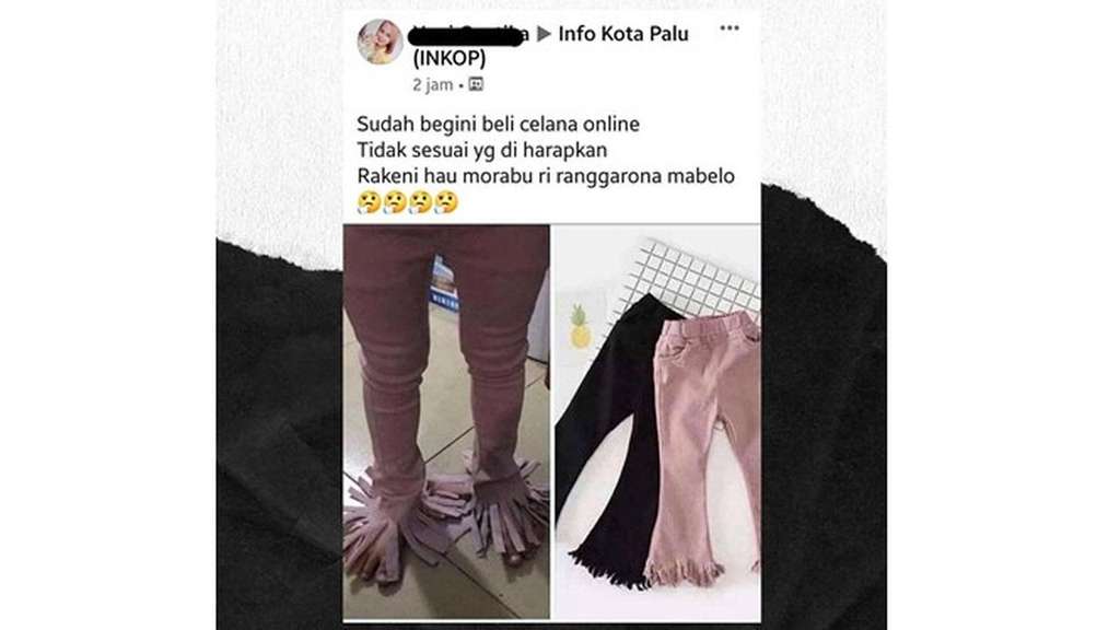 Momen apes belanja online