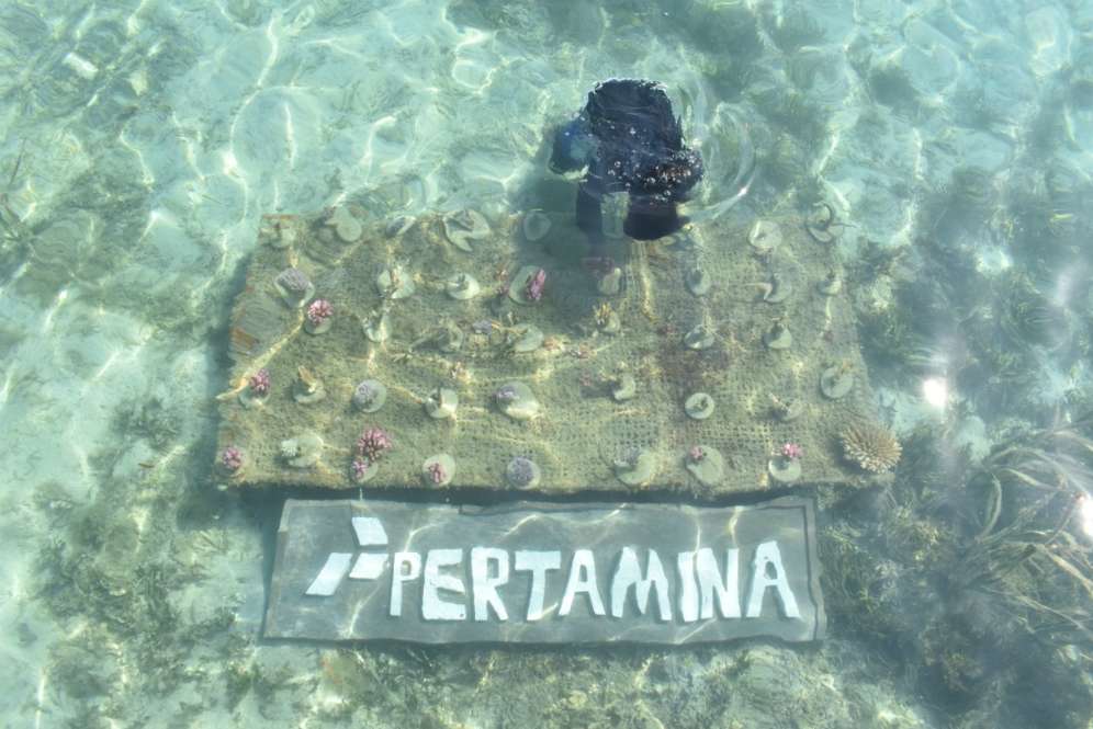 Pertamina