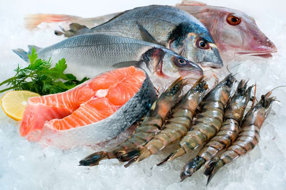 Ilustrasi Seafood