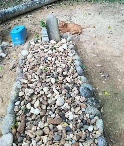 Kakinya selalu basah oleh embun setiap pulang dari ziarah makam tuannya.