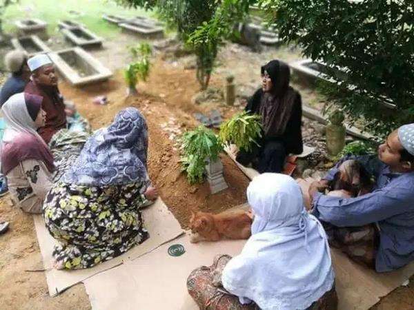 Sering temani keluarga ziarah makam tuannya.