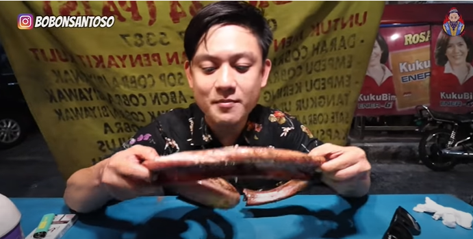 King cobra