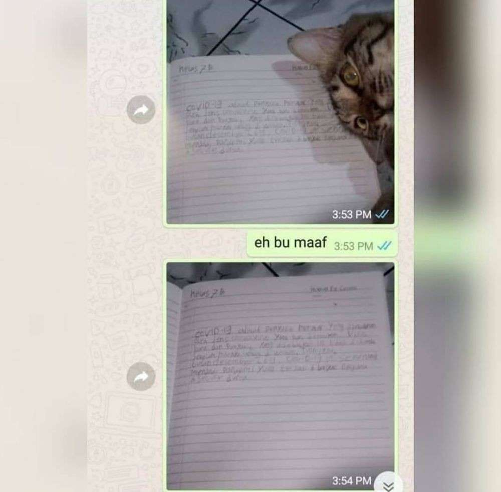 Chat guru dan murid kocak