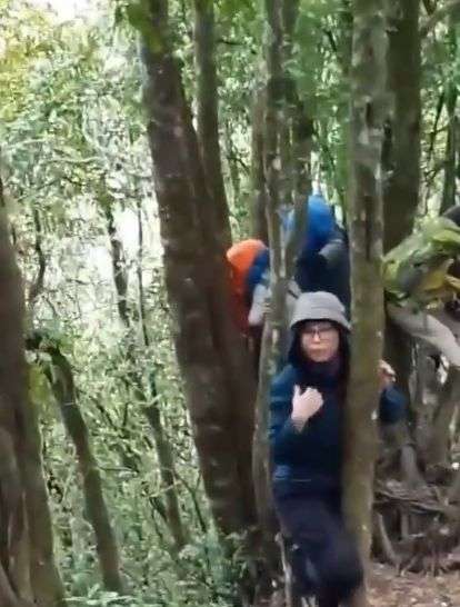 Video Dikejar Babi