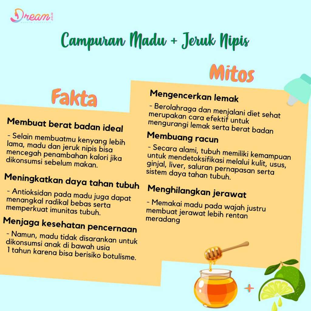 Infografis Dream.co.id