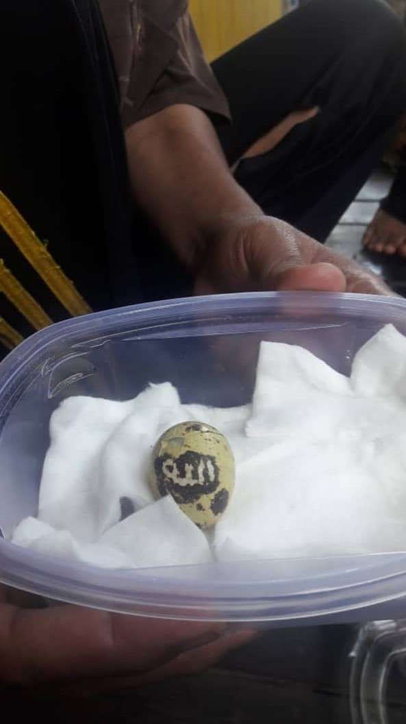 telur lafal Allah