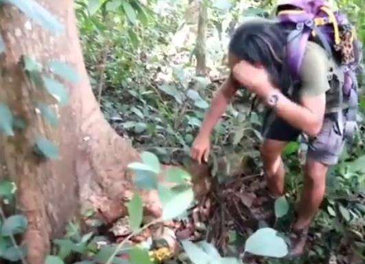 Menemukan sesajen di tengah hutan angker.