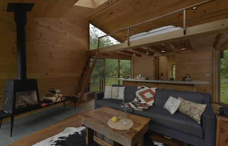 Rumah Pohon WIllow
