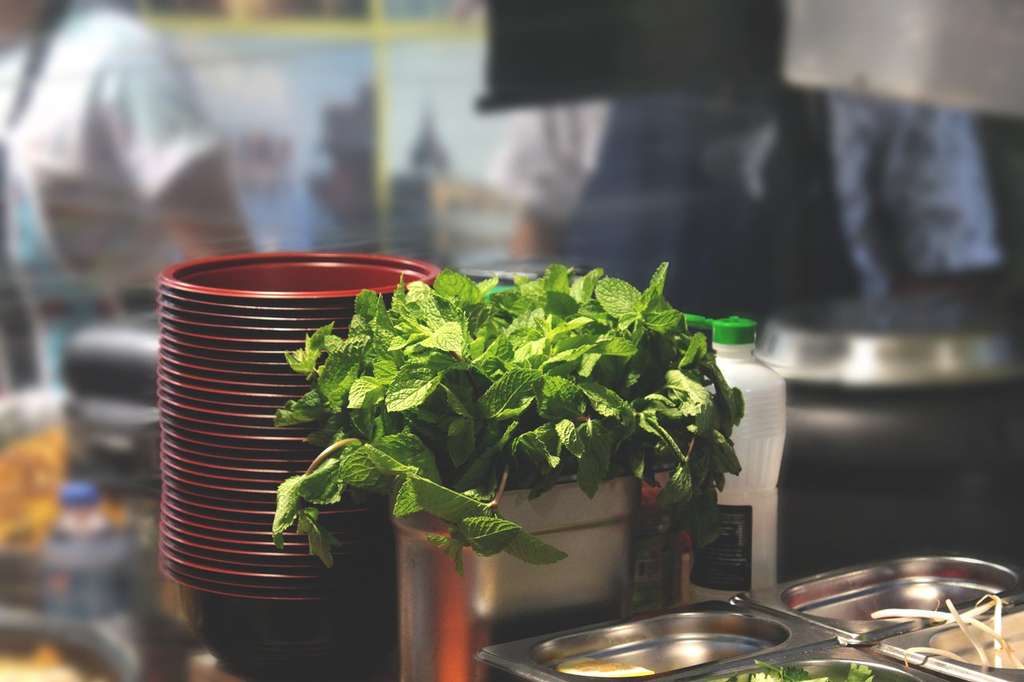 Daun Mint