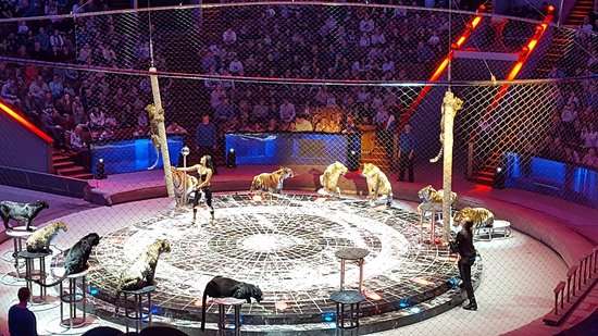 The Great Moscow Circus