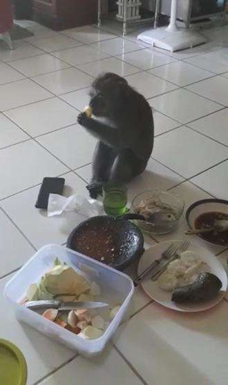 Rujak buah paling enak memang.