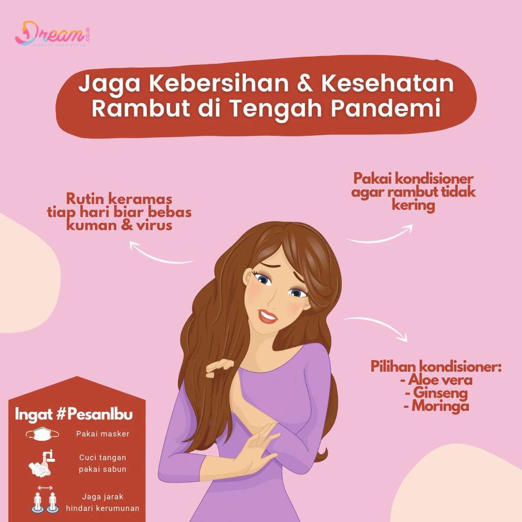 Infografis Dream.co.id