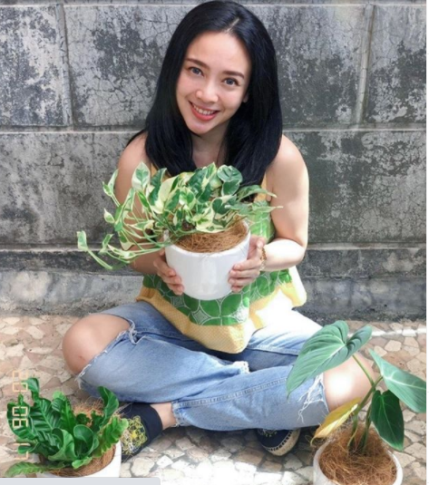 Potret selebriti yang punya hobi koleksi tanaman hias
