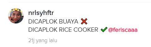 Rice cookernya sudah aktif ya.