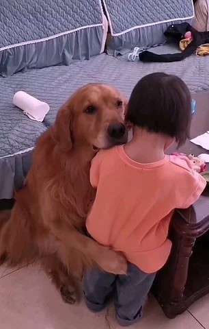 Harry dan Youyou