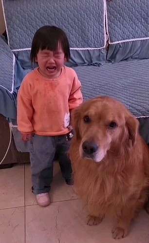 Harry dan Youyou