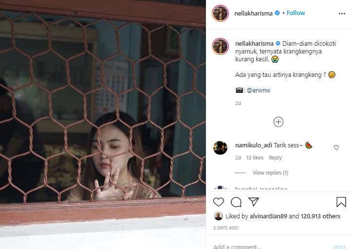 Nella Kharisma