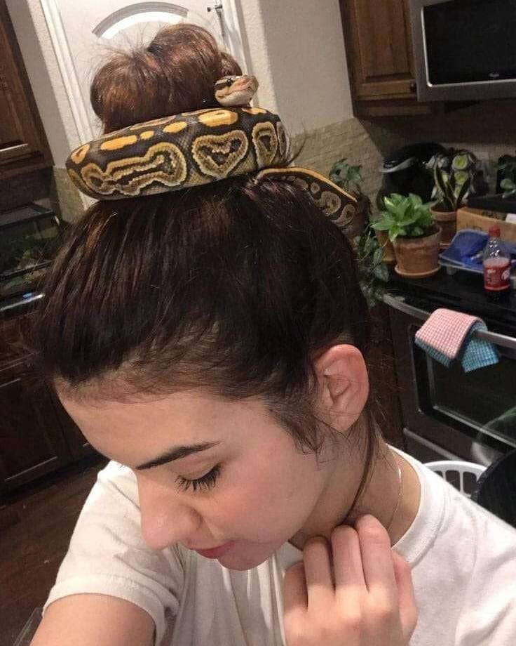 Potret kocak ikat rambut anti mainstream