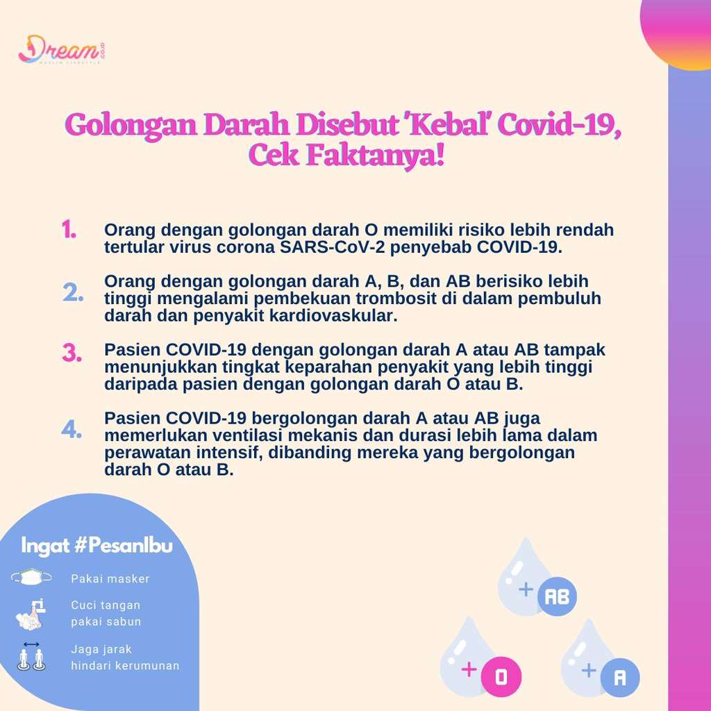 Infografis Dream.co.id Infografis Dream.co.id
