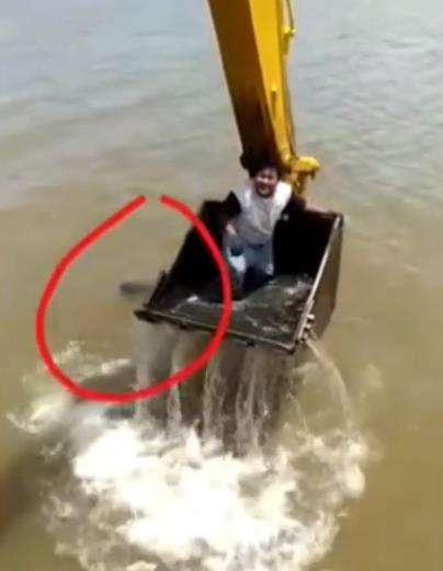 Sosok hitam yang berenang menjauh itu hantu banyu?