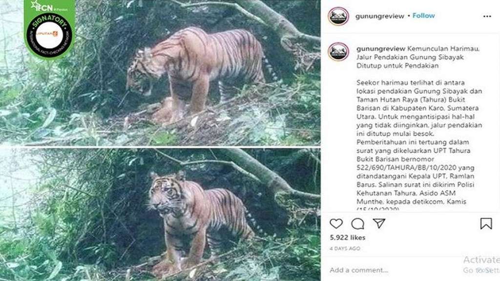 Unggahan Instagram Unggahan Instagram